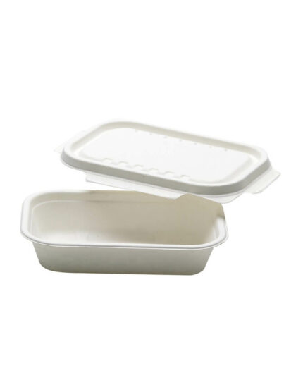 Barquette en canne à sucre lot – 90 pcs